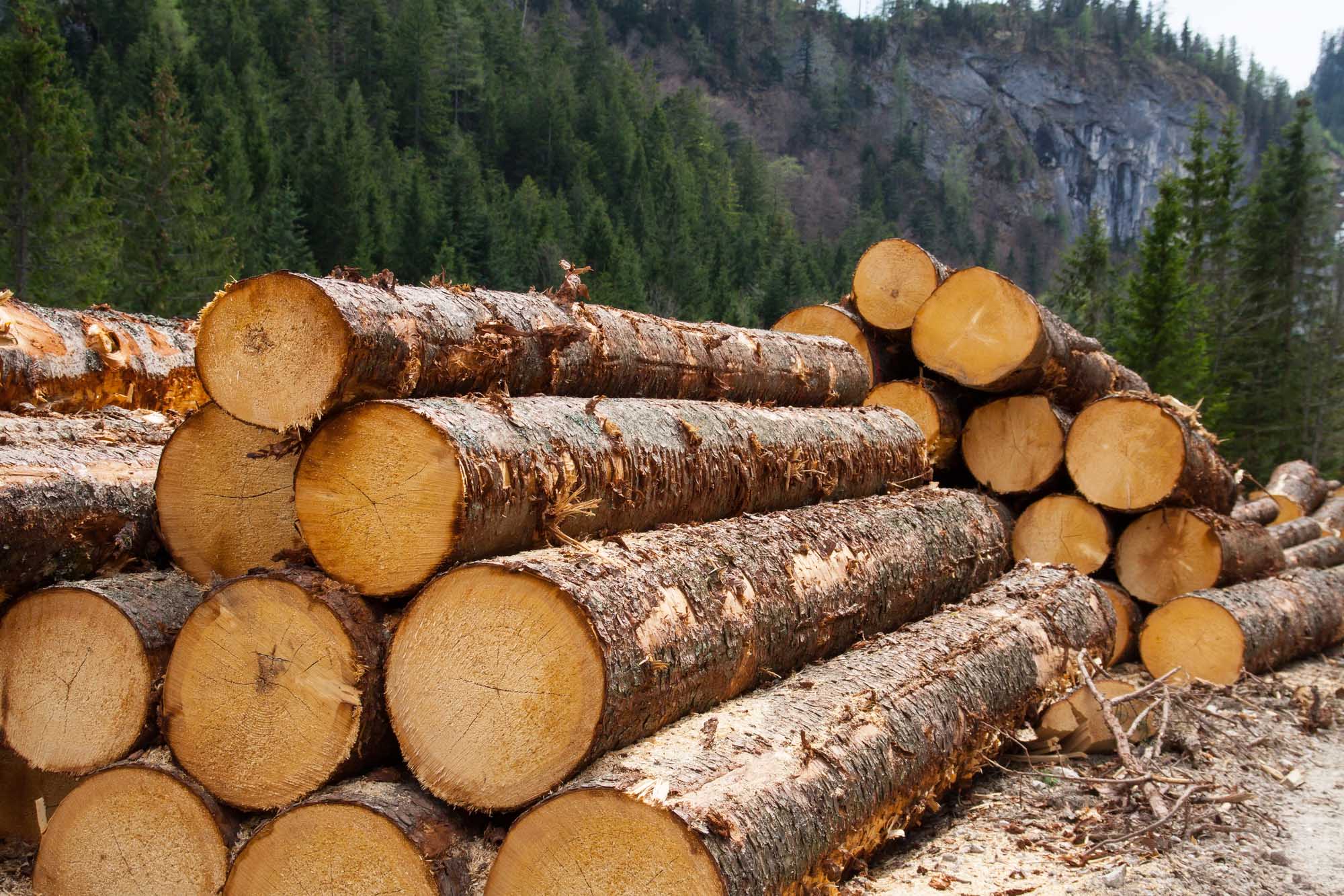 Hardwood Timber Supplies Ireland
